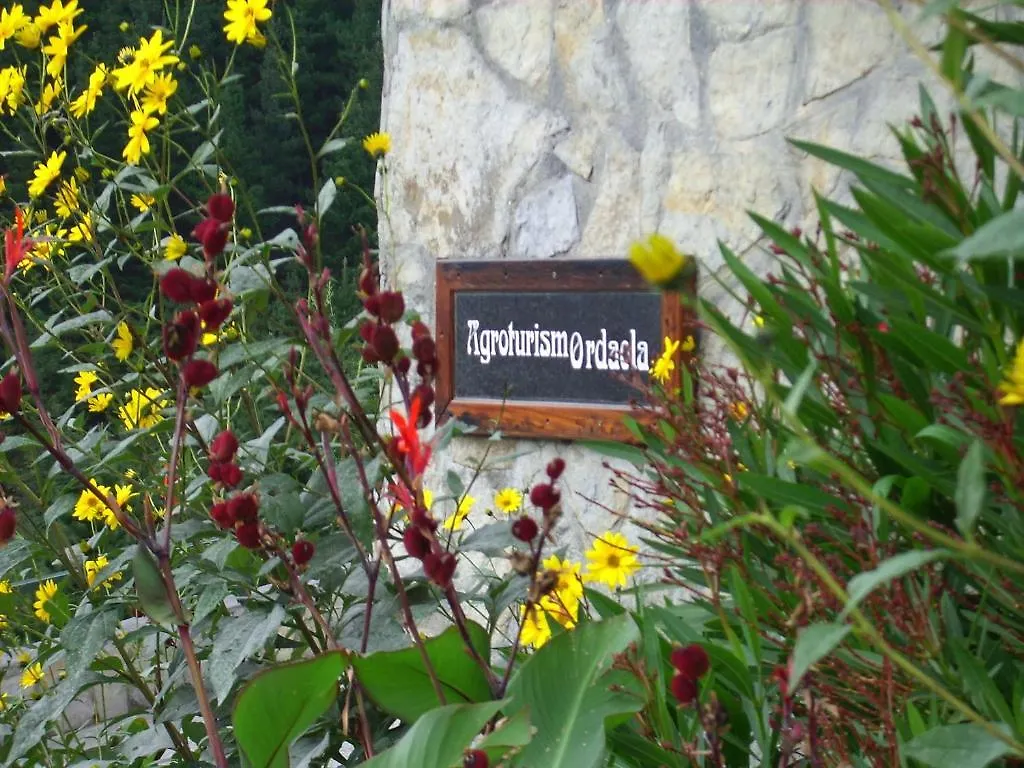 Gospodarstwo wiejskie Agroturismo Ordaola Alonsotegi